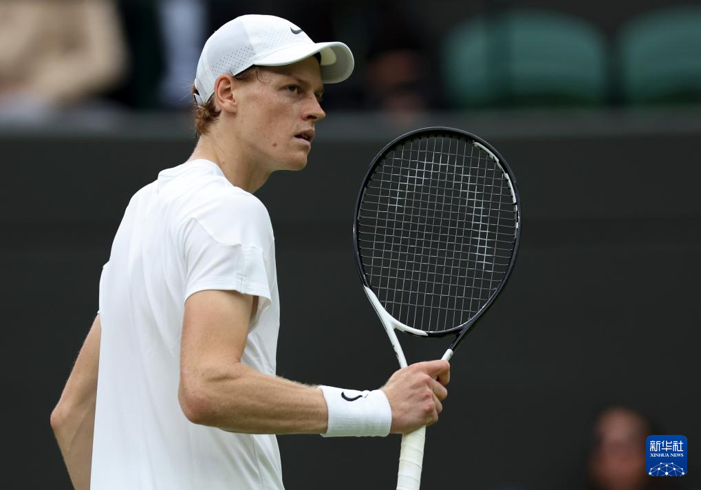 球队象征的 球队象征的